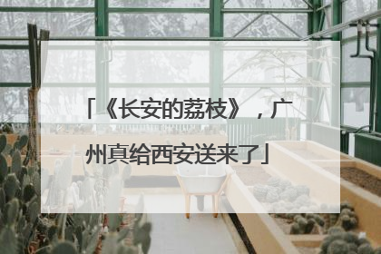 《长安的荔枝》，广州真给西安送来了