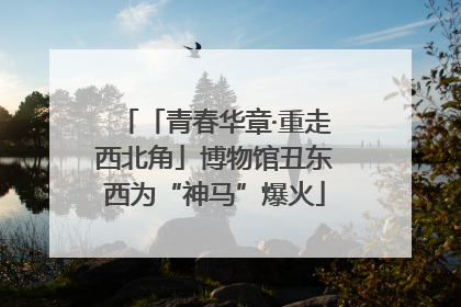 「青春华章·重走西北角」博物馆丑东西为“神马”爆火