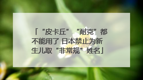 “皮卡丘”“耐克”都不能用了 日本禁止为新生儿取“非常规”姓名