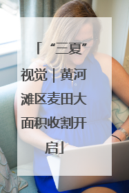 “三夏”视觉｜黄河滩区麦田大面积收割开启