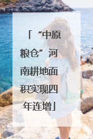 “中原粮仓”河南耕地面积实现四年连增