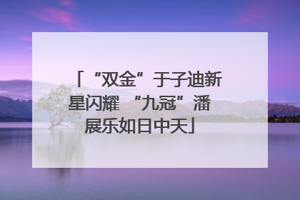 “双金”于子迪新星闪耀 “九冠”潘展乐如日中天