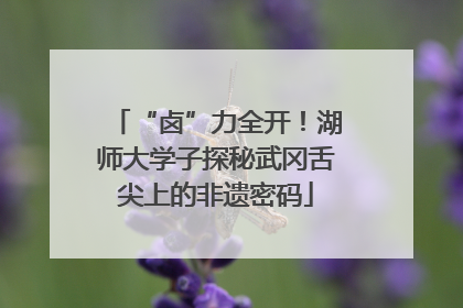 “卤”力全开！湖师大学子探秘武冈舌尖上的非遗密码