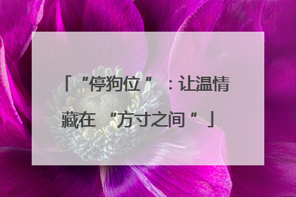 “停狗位 ”：让温情藏在 “方寸之间 ”