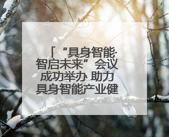 “具身智能·智启未来”会议成功举办 助力具身智能产业健康发展