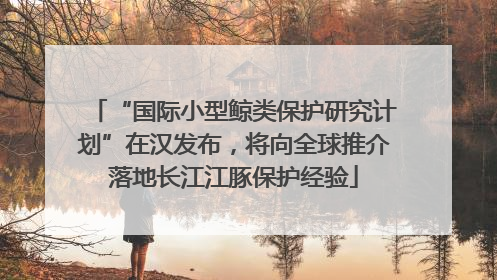 “国际小型鲸类保护研究计划”在汉发布，将向全球推介落地长江江豚保护经验