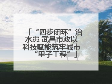 “四步闭环”治水患 武昌市政以科技赋能筑牢城市“里子工程”