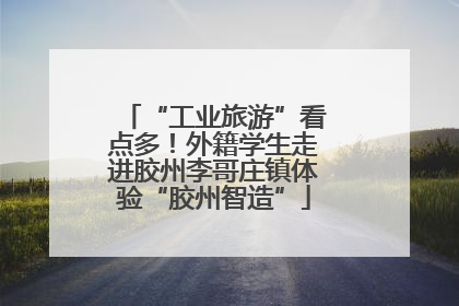 “工业旅游”看点多！外籍学生走进胶州李哥庄镇体验“胶州智造”