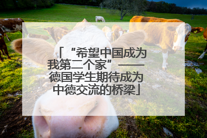 “希望中国成为我第二个家”——德国学生期待成为中德交流的桥梁