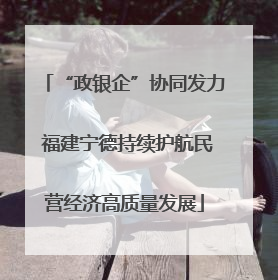 “政银企”协同发力 福建宁德持续护航民营经济高质量发展