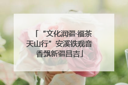 “文化润疆·福茶天山行”安溪铁观音香飘新疆昌吉