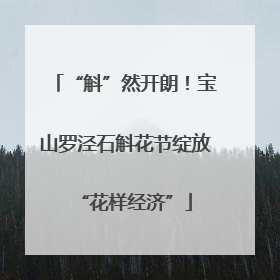“斛”然开朗！宝山罗泾石斛花节绽放“花样经济”