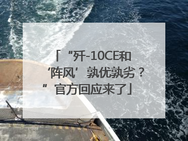“歼-10CE和‘阵风’孰优孰劣？”官方回应来了