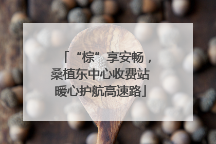 “棕”享安畅，桑植东中心收费站暖心护航高速路
