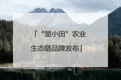 “楚小田”农业生态链品牌发布