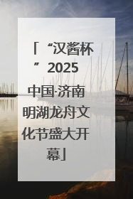 “汉酱杯”2025中国·济南明湖龙舟文化节盛大开幕