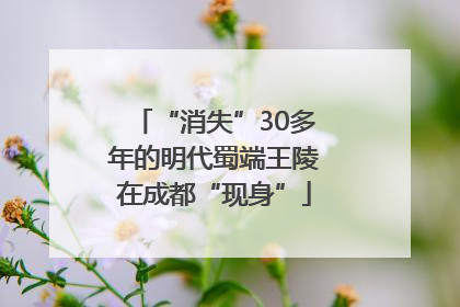 “消失”30多年的明代蜀端王陵在成都“现身”