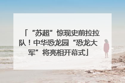 “苏超”惊现史前拉拉队！中华恐龙园“恐龙大军”将亮相开幕式