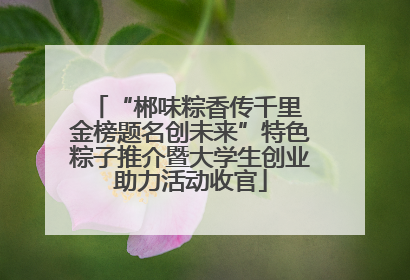 “郴味粽香传千里 金榜题名创未来”特色粽子推介暨大学生创业助力活动收官