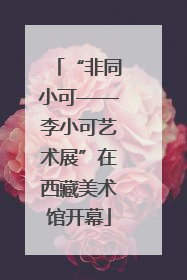 “非同小可——李小可艺术展”在西藏美术馆开幕