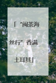 “闽茶海丝行”香满土耳其