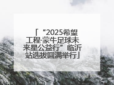 “2025希望工程·蒙牛足球未来星公益行”临沂站选拔圆满举行
