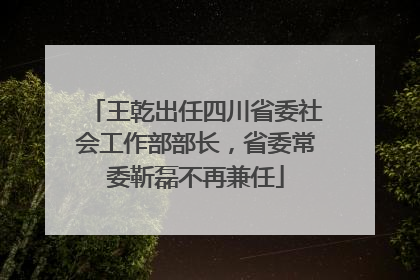 王乾出任四川省委社会工作部部长，省委常委靳磊不再兼任