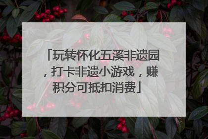 玩转怀化五溪非遗园，打卡非遗小游戏，赚积分可抵扣消费