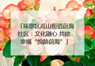 环翠区嵩山街道蔚海社区：文化融心 共建幸福“悦龄蔚海”