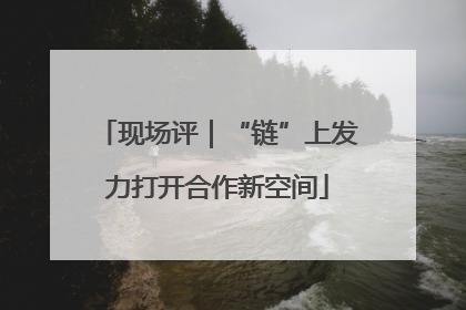 现场评｜“链”上发力打开合作新空间