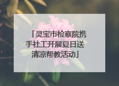 灵宝市检察院携手社工开展夏日送清凉帮教活动