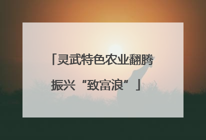灵武特色农业翻腾振兴“致富浪”