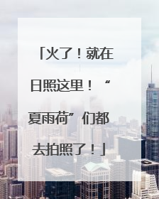 火了！就在日照这里！“夏雨荷”们都去拍照了！