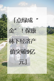 点绿成“金”！保康林下经济产值突破9亿元