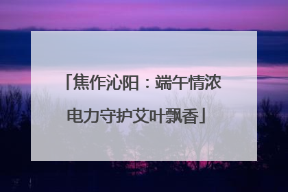 焦作沁阳：端午情浓 电力守护艾叶飘香