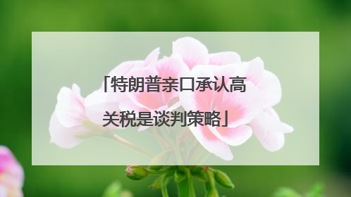 特朗普亲口承认高关税是谈判策略