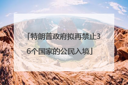 特朗普政府拟再禁止36个国家的公民入境