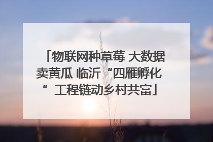 物联网种草莓 大数据卖黄瓜 临沂“四雁孵化”工程链动乡村共富