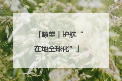 瞭望丨护航“在地全球化”
