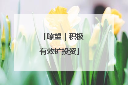 瞭望｜积极有效扩投资