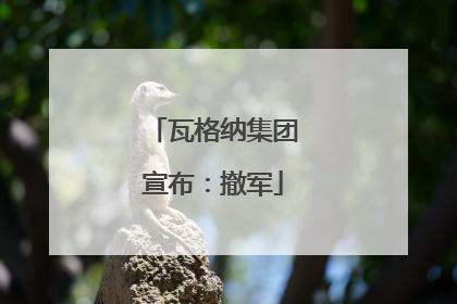 瓦格纳集团宣布:撤军