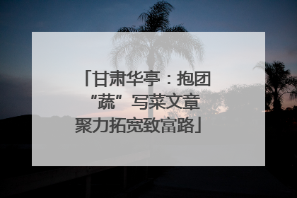甘肃华亭：抱团“蔬”写菜文章 聚力拓宽致富路