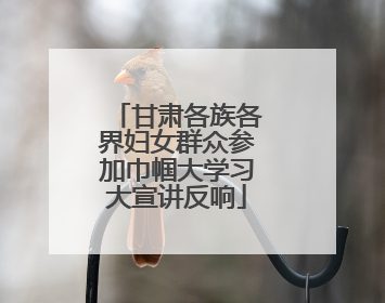 甘肃各族各界妇女群众参加巾帼大学习大宣讲反响