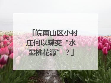 皖南山区小村庄何以蝶变“水墨桃花源”？