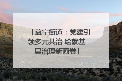 益宁街道：党建引领多元共治 绘就基层治理新画卷