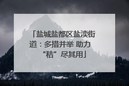 盐城盐都区盐渎街道：多措并举 助力“秸”尽其用