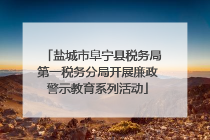 盐城市阜宁县税务局第一税务分局开展廉政警示教育系列活动