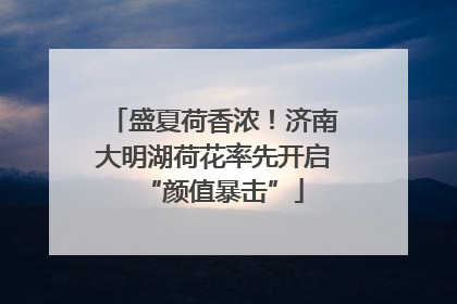 盛夏荷香浓！济南大明湖荷花率先开启“颜值暴击”
