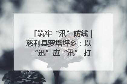 筑牢“汛”防线｜慈利县罗塔坪乡：以“迅”应“汛” 打赢暴雨防御战