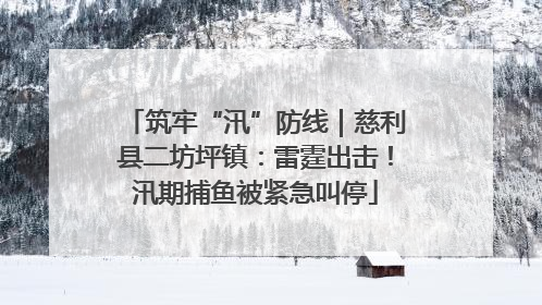 筑牢“汛”防线｜慈利县二坊坪镇：雷霆出击！汛期捕鱼被紧急叫停